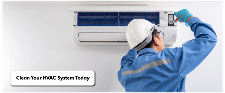 HVAC Mold Removal Mclean